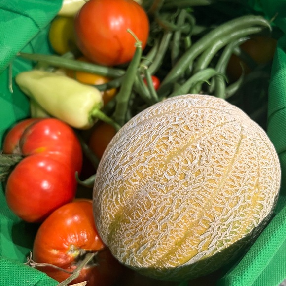 Meet your Posher, Janine - Picture 1 of 1